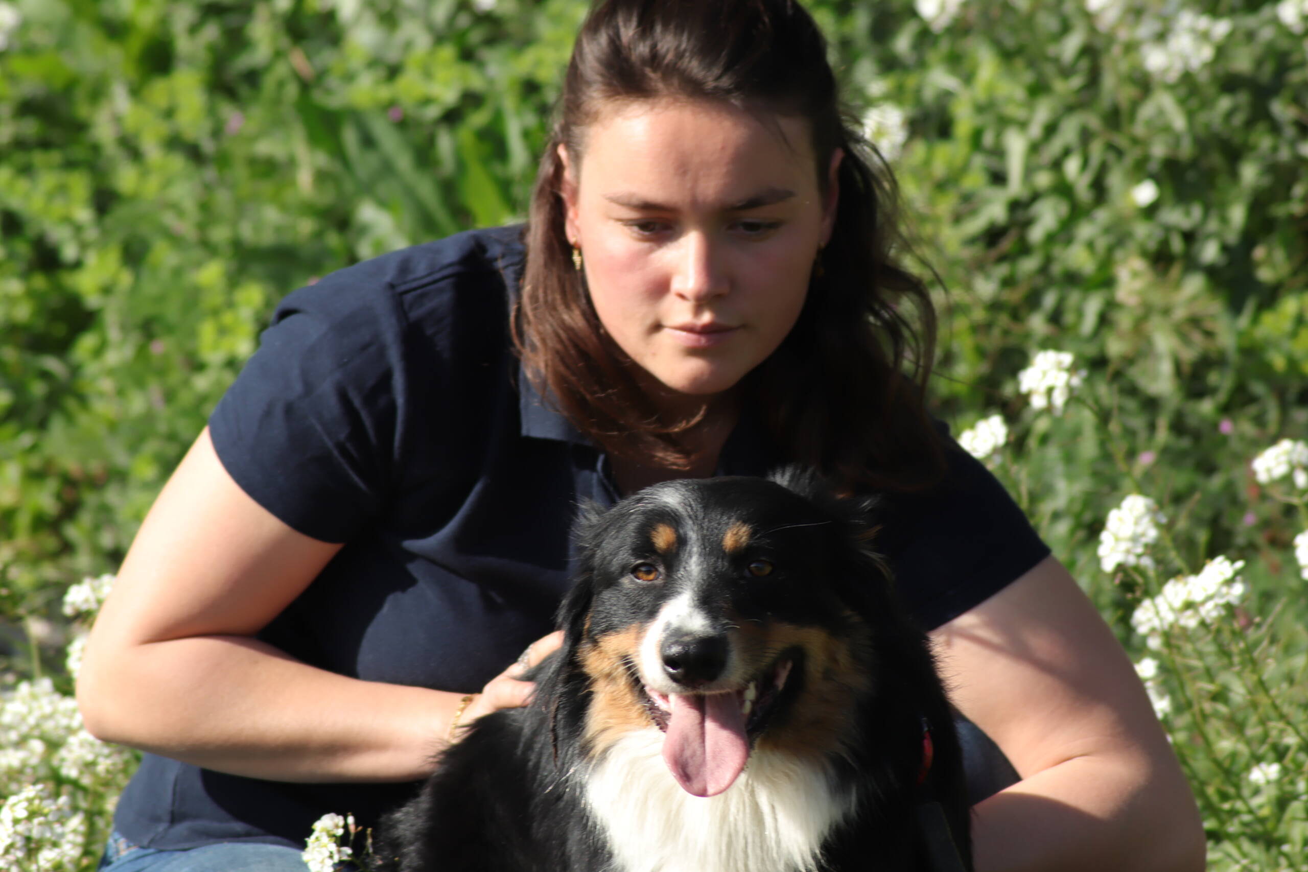 Manipulation chien par un ostéopathe animalier. Séance d'ostéopathie animale sur un chien.