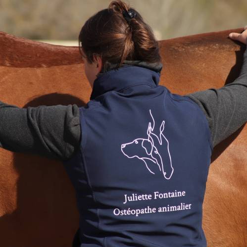 Juliette Fontaine, ostéopathe animalier sur Aix-en-Provence et ses alentours.